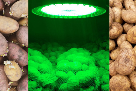 Agrarbeleuchtung landwirtschaftlicher Lagerräume LED-Leuchte E+HB380G protec ENERGYPLUS